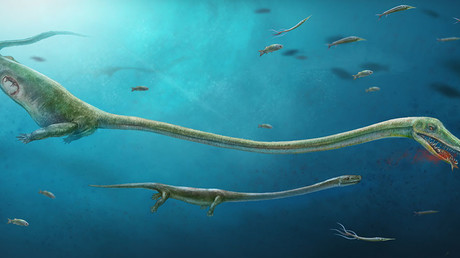 © Jun Liu - Oldest-ever Fossils Show Life Existed On Earth At Its Infancy
