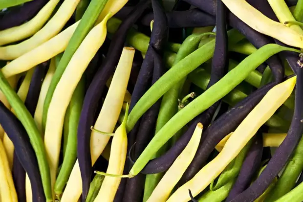 How To Cook Fresh Green Beans That Taste Amazing