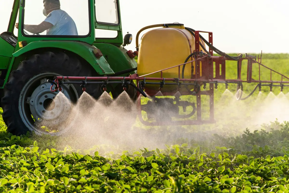Dirty Dozen 2024 Exposes Scary Fungicide Risks In Popular Produce
