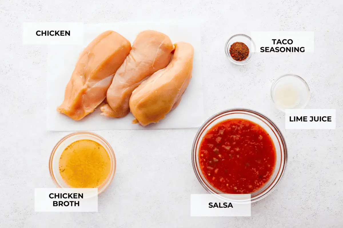 Ingredients to make salsa chicken labeled. - Crockpot Salsa Chicken