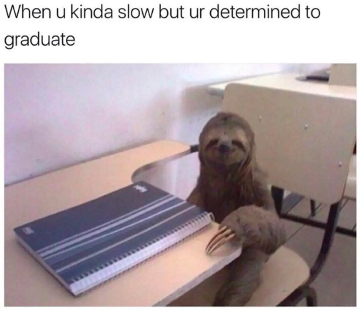 funny memes uni 31 - 34 Memes About University That Are Hilarious Because They're True