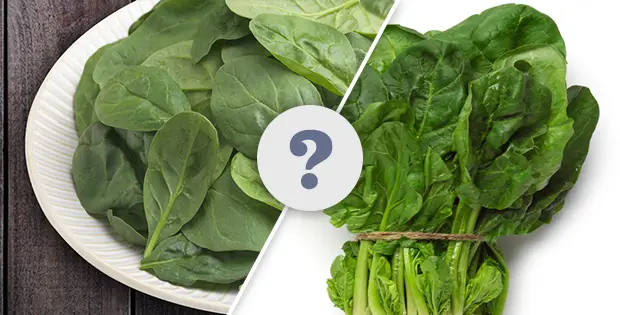 What Is The Difference Between Baby And Adult Vegetables (Besides Age)?