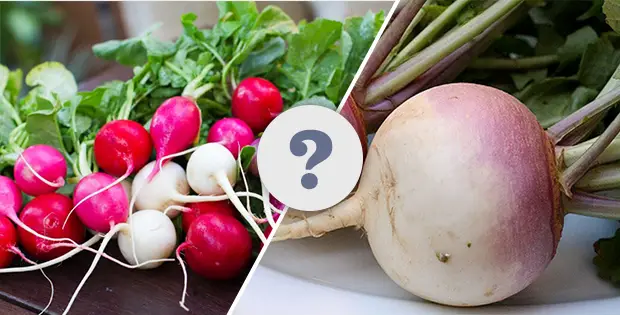 What Is The Difference Between Radishes And Turnips?