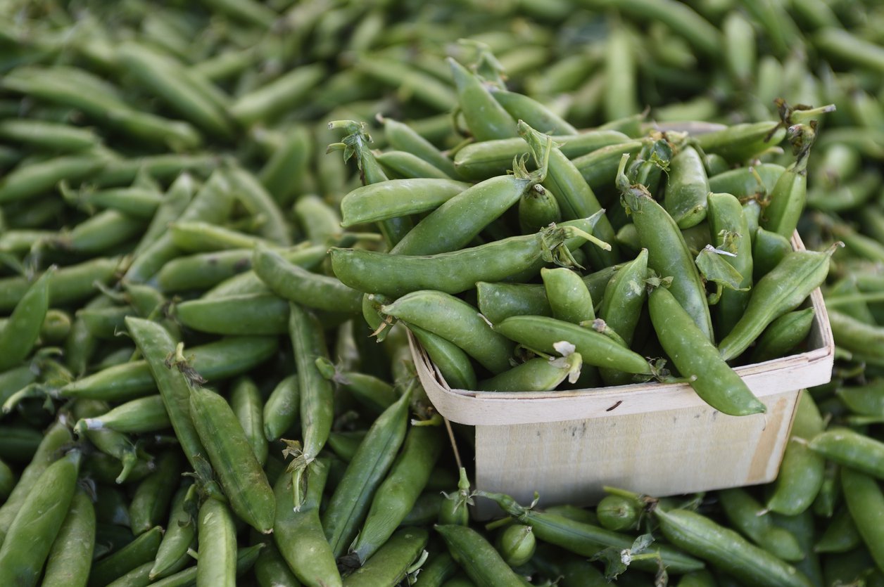 Sweet And Crunchy Snap Peas Are In Season! Eat Them Like This