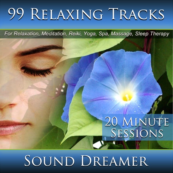Relax - 20 Minute Session
