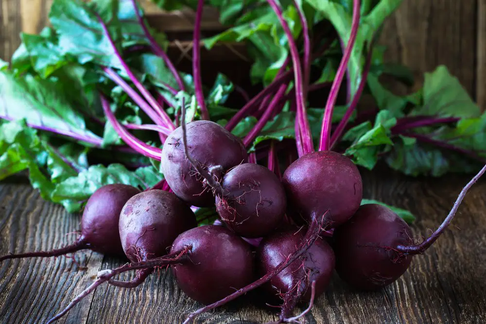 Purple Vegetables - 41 Purple Fruits And Vegetables To Add A Pop Of Color To Your Plate