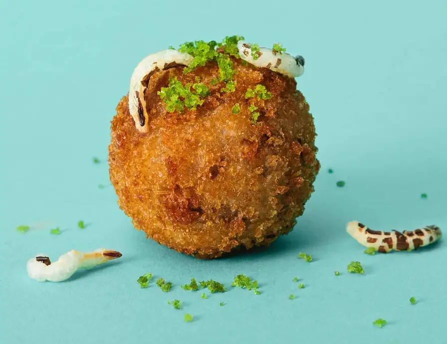 mealworm meatballs - Please, Bug Out: 8 Things You Should Know About Cooking With Bugs