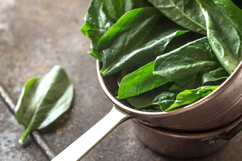 How To Cook Spinach - Learn How To Cook Spinach Perfectly Every Time: 5 Ways To Savor Its Simplicity