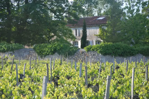 france - A Wine Lover’s Dream, Bordeaux’s Organic And Biodynamic Renaissance