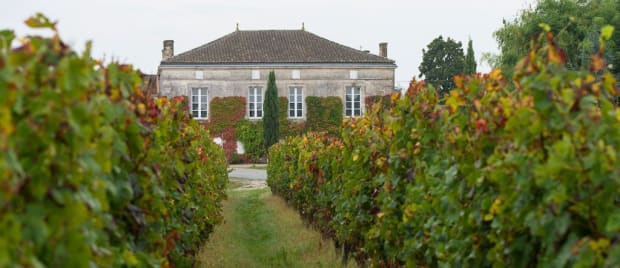 Guillaume - A Wine Lover’s Dream, Bordeaux’s Organic And Biodynamic Renaissance