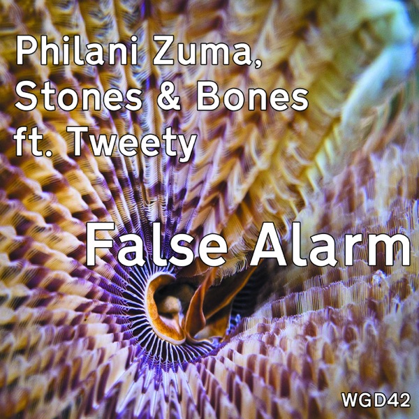 False Alarm (Weeping Guitar Mix) [feat. Tweety]