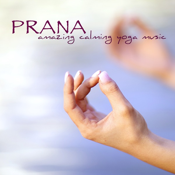 Articles - Prana (Water Sound - Cave)