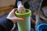 Dog meat - This $20 Product Will Stop Your Dog From Tracking Mud Into The House Ever Again