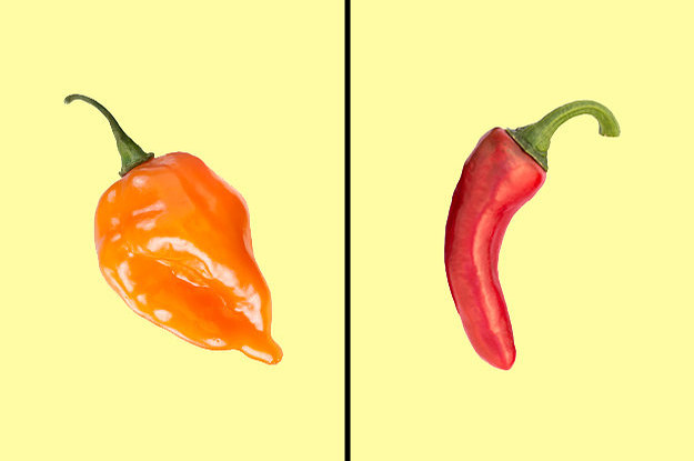 8 Of These Peppers Will Set Your Mouth On Fire — Can You Pick The One That Won&#039;t?