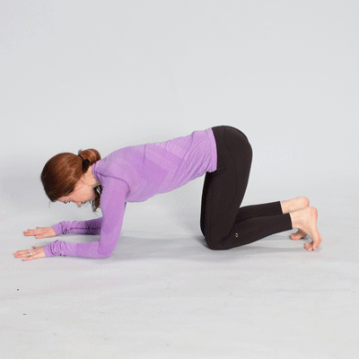 dolphin pose gif - Ready For A Wheel Challenge? How To Do The Yoga Wheel Pose