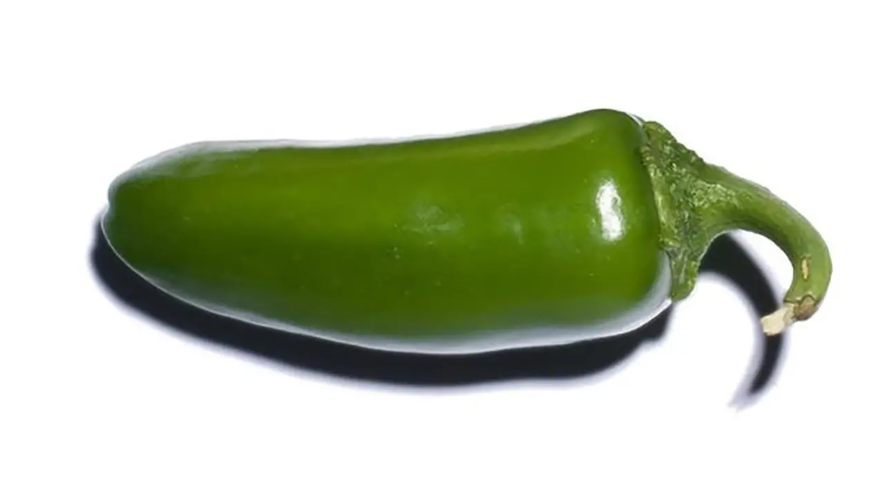 Jalapeño - A Sizzling Hot Field Guide To Peppers — And Where They Fall On The Spiciness Scale