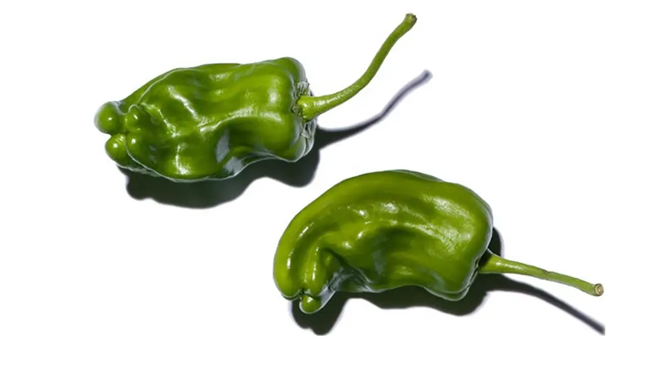 Pimiento de Padron peppers - A Sizzling Hot Field Guide To Peppers — And Where They Fall On The Spiciness Scale