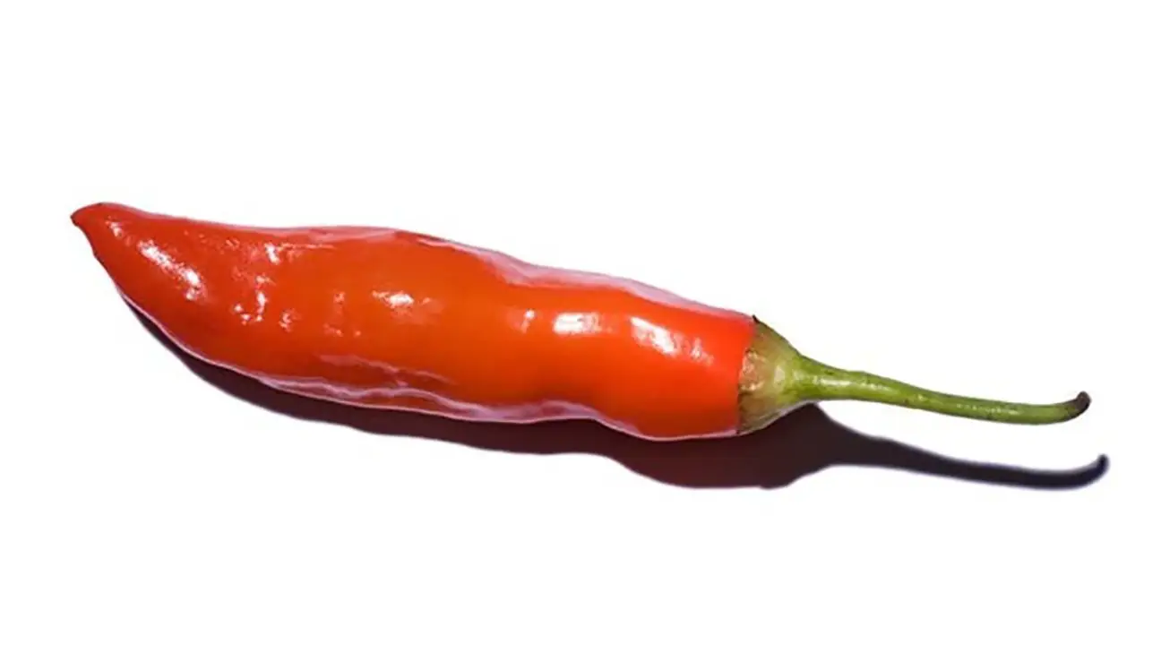 Aji rojo pepper - A Sizzling Hot Field Guide To Peppers — And Where They Fall On The Spiciness Scale