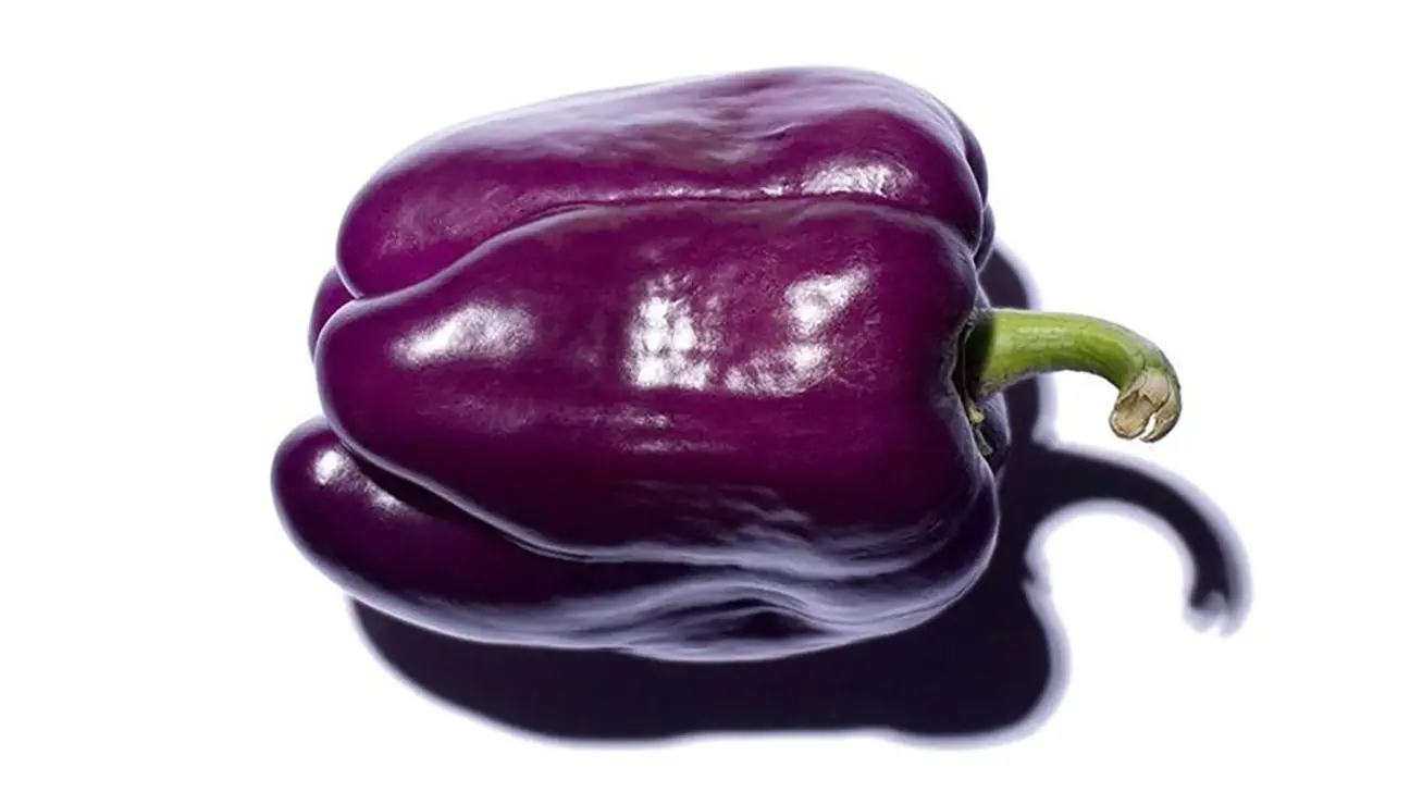 Bell pepper - A Sizzling Hot Field Guide To Peppers — And Where They Fall On The Spiciness Scale