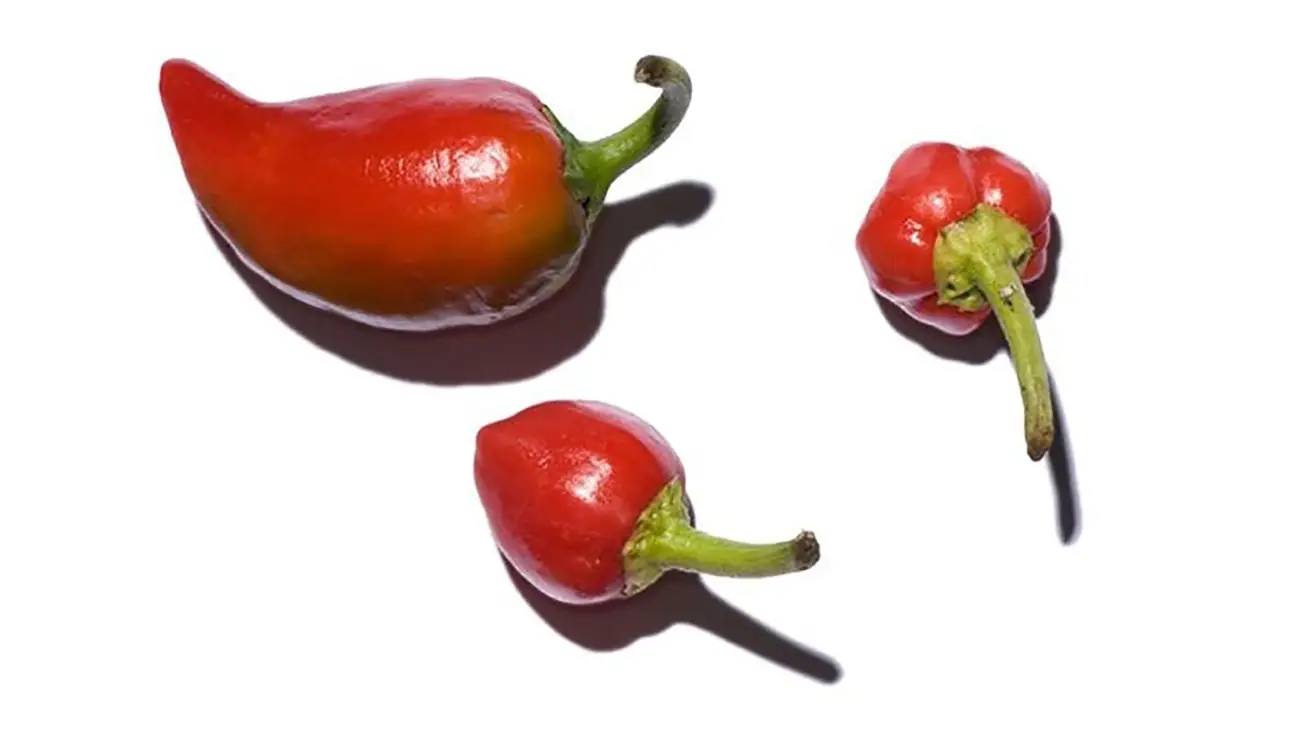 Hot cherry peppers - A Sizzling Hot Field Guide To Peppers — And Where They Fall On The Spiciness Scale