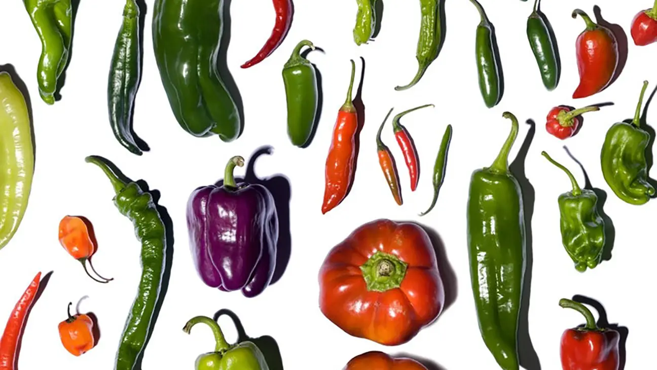 Pepper varieties - A Sizzling Hot Field Guide To Peppers — And Where They Fall On The Spiciness Scale