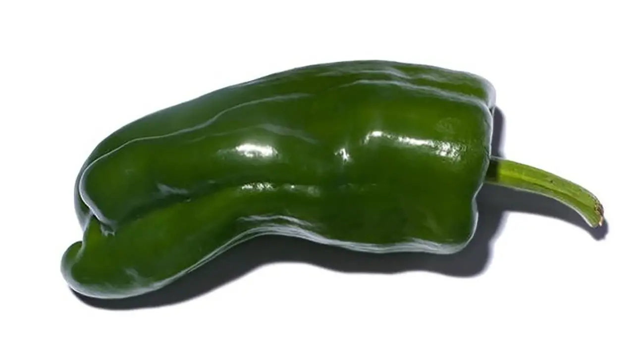 Poblano pepper - A Sizzling Hot Field Guide To Peppers — And Where They Fall On The Spiciness Scale