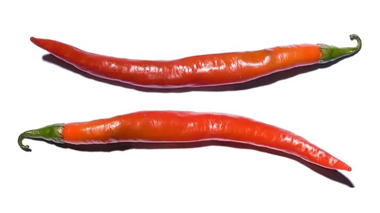 Cayenne peppers - A Sizzling Hot Field Guide To Peppers — And Where They Fall On The Spiciness Scale