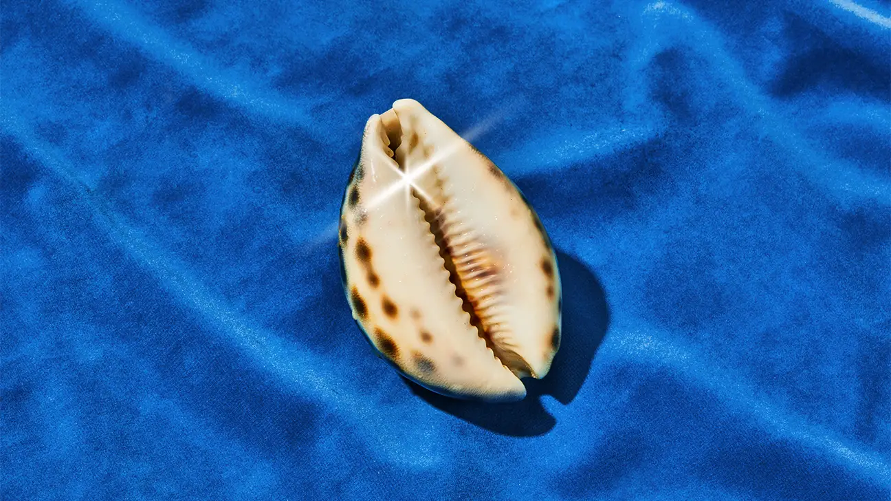 shell resembling a vagina - Christina Piercing Calling Your Name? Here's What You Should Know