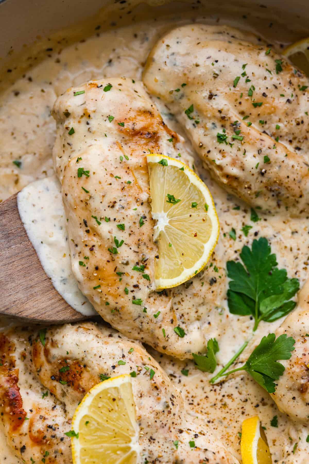 Closeup of a chicken breast coated in the creamy lemon sauce being lifted out of the pan with a wooden spatula. - Creamy Lemon Parmesan Chicken